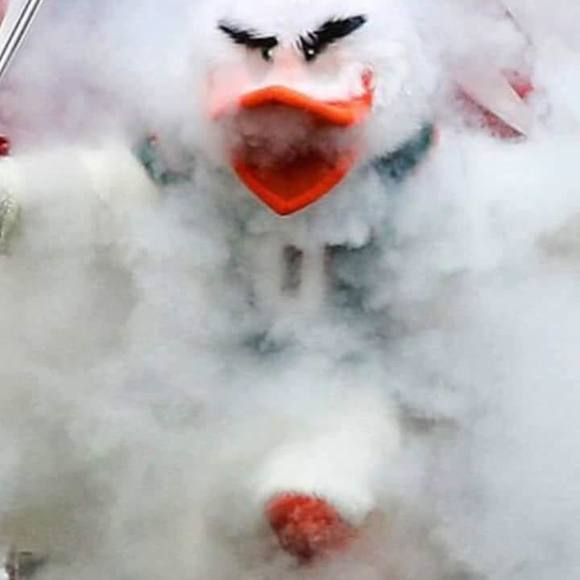 Meet your Posher, Cori - Picture 1 of 1